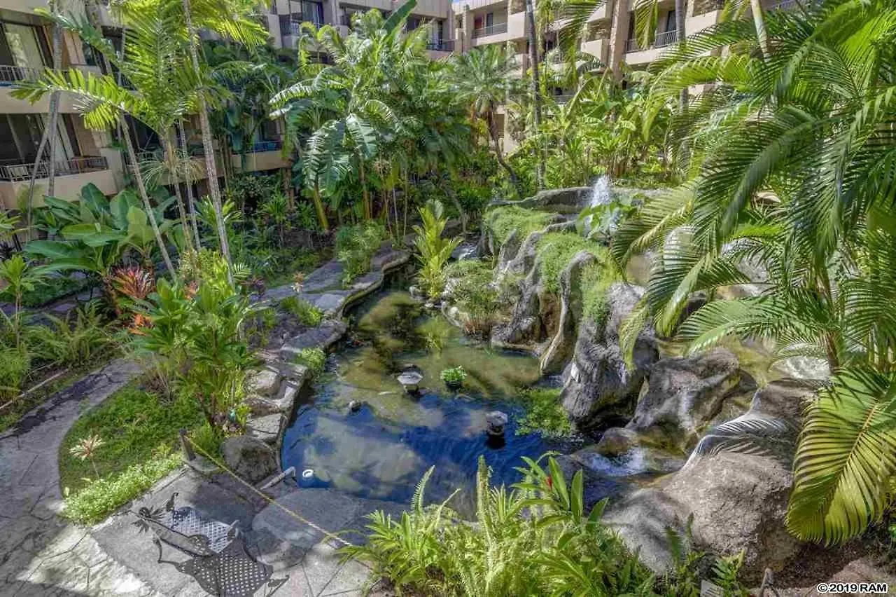 Awesome Paki Maui Beach Condos In Lahaina Aparthotel